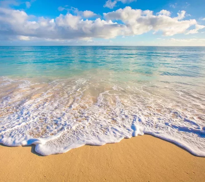 王中王开奖记录:7777788888网站动态解析_梦幻版ZGF281.96详述