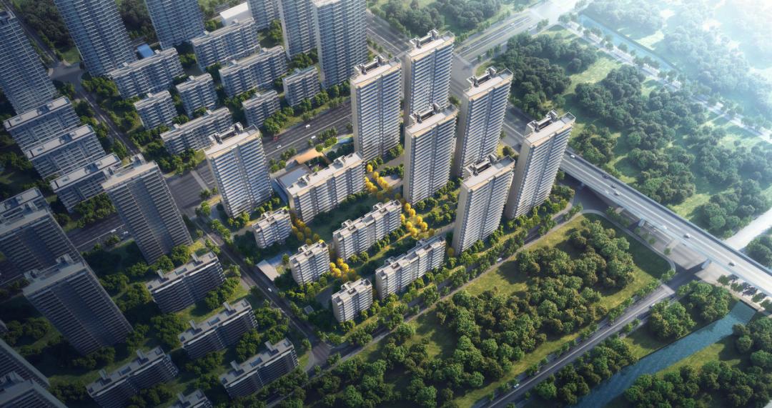 平江县最新领导名单——科技引领未来,领导力量重塑生活