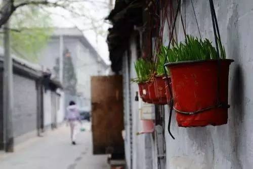 老司机最新发现,巷弄深处的隐藏美食宝藏