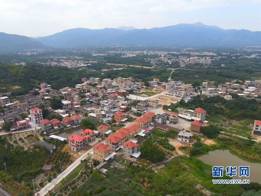 最新一期完美告白,小巷中的隐藏特色小店