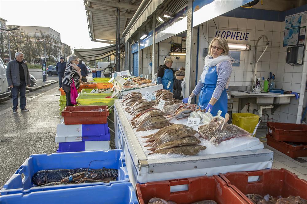 最新渔业法实施细则,深入解析与观点阐述