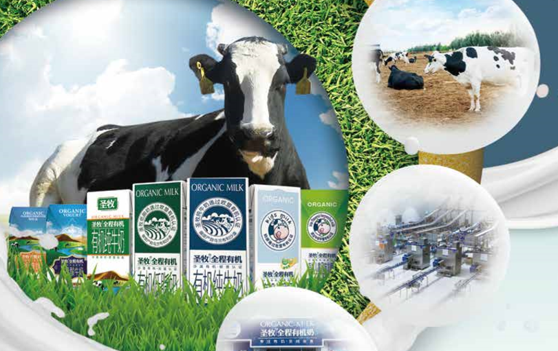 中国圣牧最新消息📣🐂✨