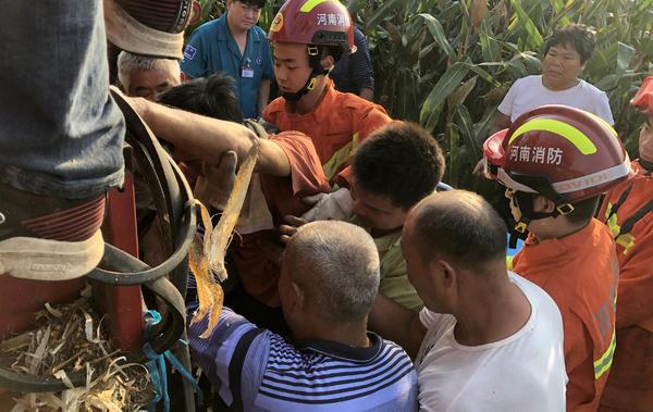 开封玉米情缘,玉米价格的最新行情与一段温馨的友情故事