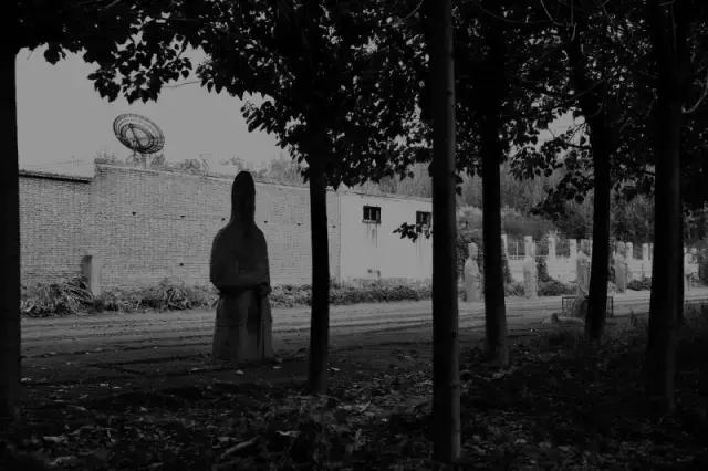 开封玉米情缘,玉米价格的最新行情与一段温馨的友情故事