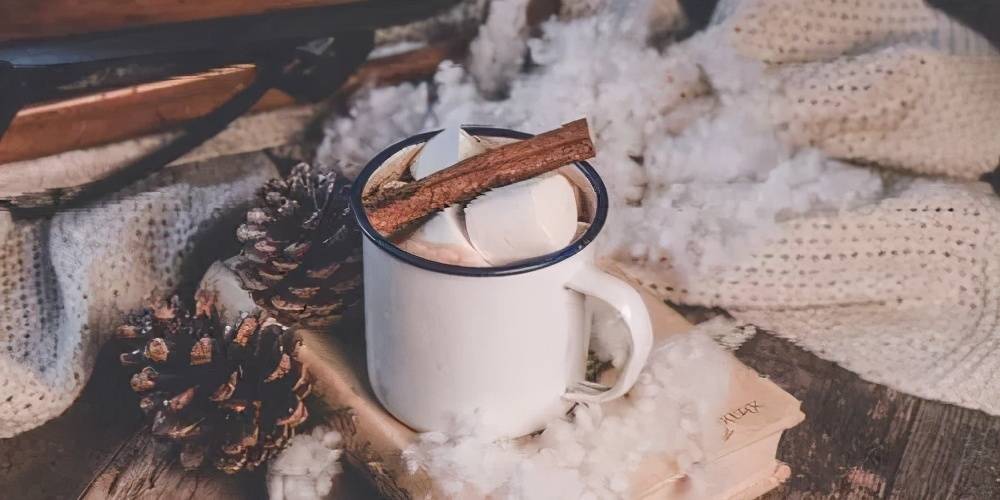 免费新奥门特资料集锦:管家婆料解析,精选动态词汇_UEK211.04版