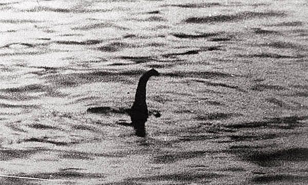 尼斯湖水怪最新消息,揭开神秘面纱下的真相