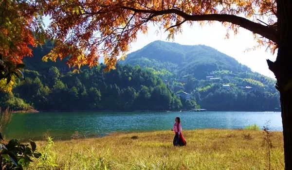 云南瑞丽市最新消息,探索自然美景,寻找内心的平静