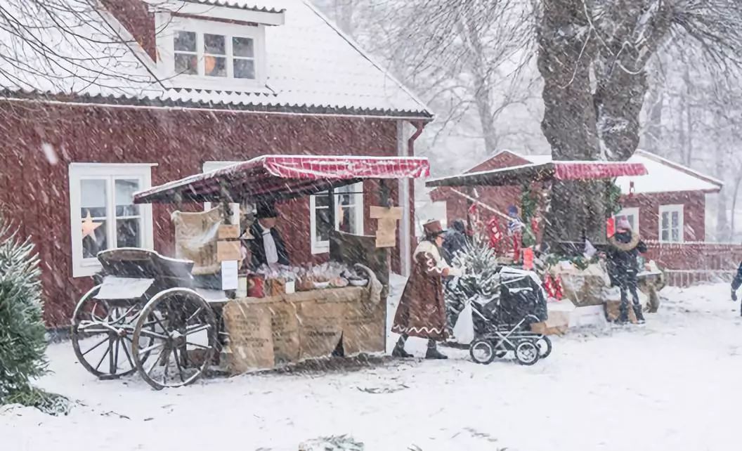 澳门管家婆一码一肖,动态词汇解读_珍藏版VEK448.91