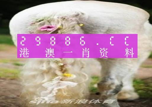 澳门独中四不像一码解析方案,安全版本WOQ438.78更新