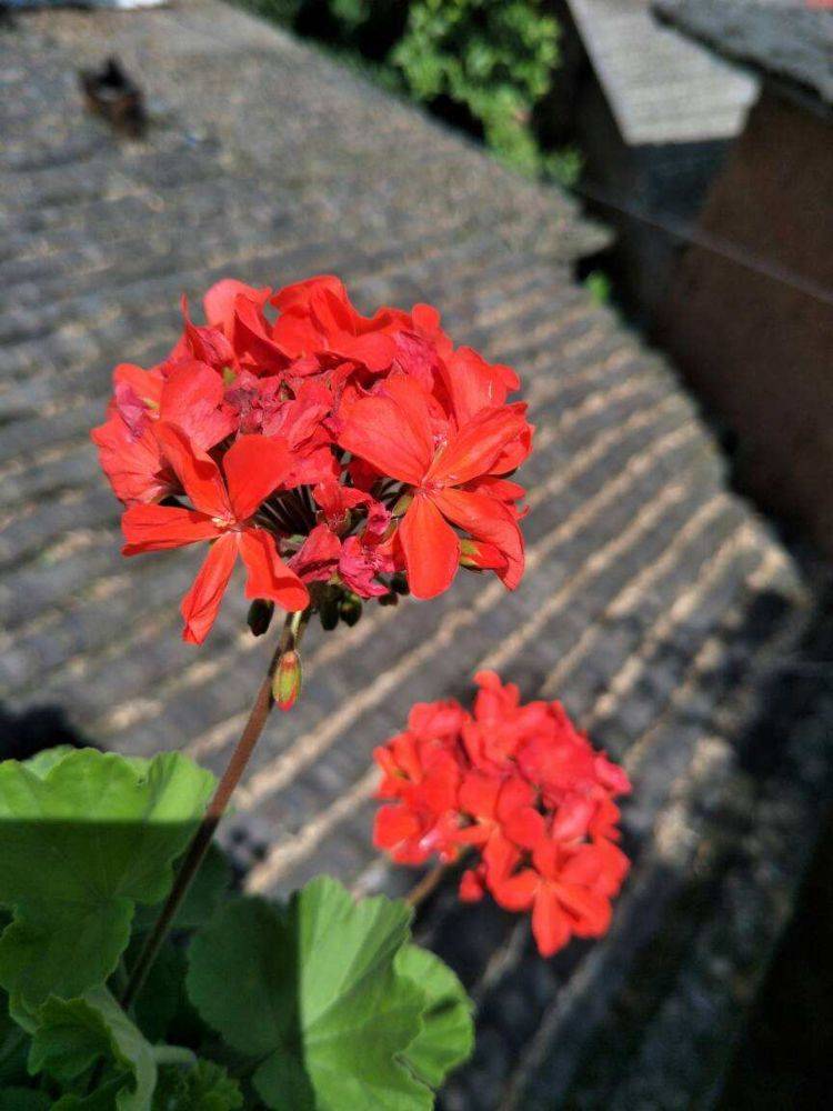 最新澳资图库解答免费,TGM959.68七天版热门资源