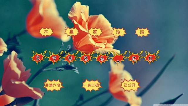 “2024澳门每日六开奖图库免费览,动态图赏与深度解析_AFQ980.45”