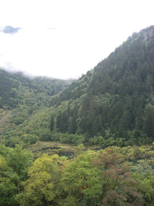 成都至九寨沟最新路况纪实