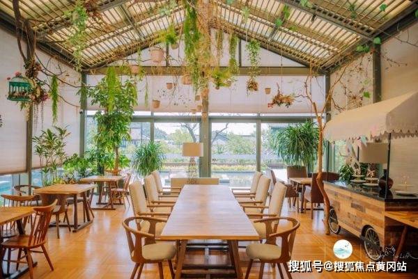 板扎最新,一种观点的分析与阐述