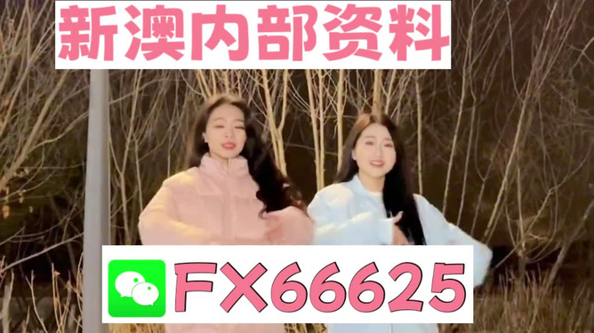 管家婆一码一肖100准,材料与化工_太乙太仙SFM735.45