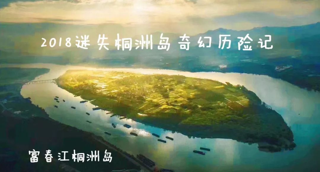 君岛最新,乘风破浪,书写励志传奇