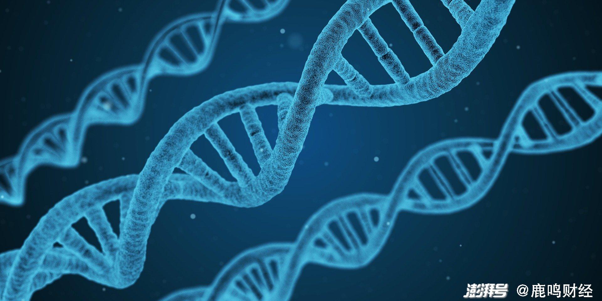 2024版奥马资料深度解析:经济解读全新视角 SHK349.35备用