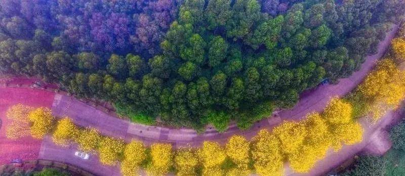 2024香港详尽正版资料集锦:动态素材方案解析,混沌仙君QLY314.46版