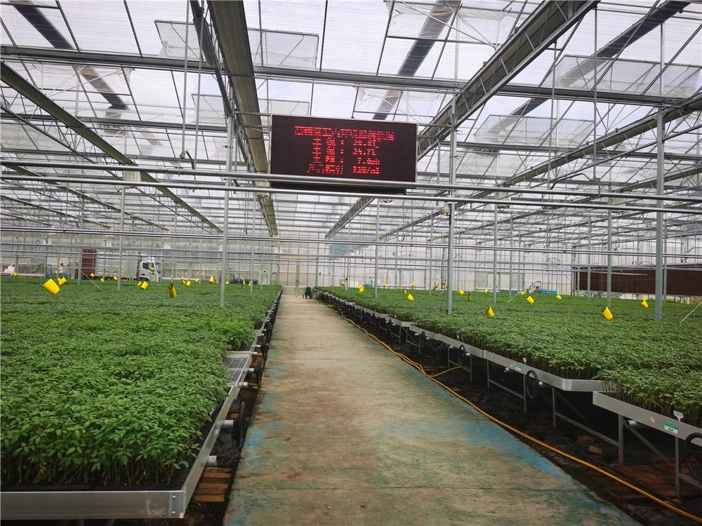 最新推广软件,让你轻松掌握潮流脉搏!🌟