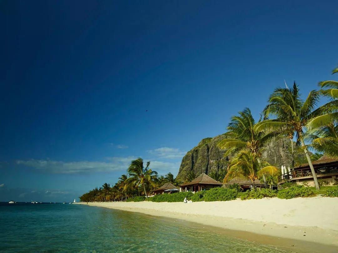 最新美食菜谱,探索味蕾的新世界