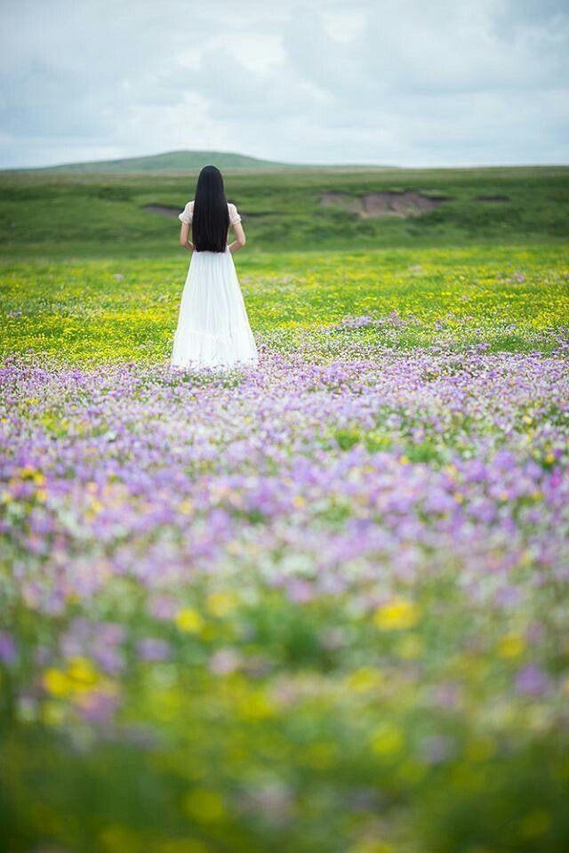 落花若最新,一场与自然美景的轻松邂逅