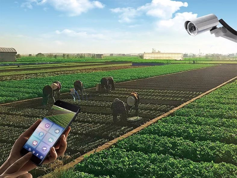 重磅推出农场最新外挂,科技革新,智慧农业的新里程碑