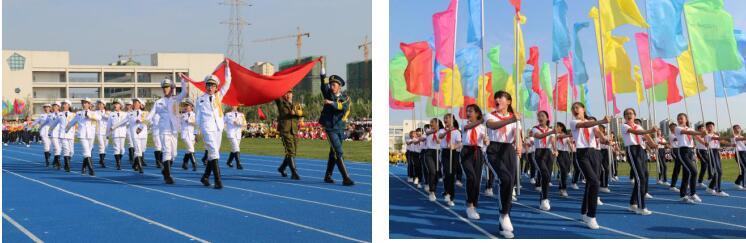 最新画图软件,绘制梦想,点亮自信的火花