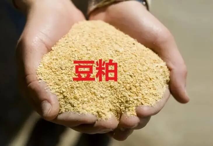最新豆粕报价,科技引领未来,豆粕市场的新革命