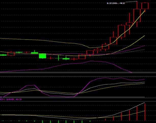 新澳门特马走势图,专业执行问题_DPB445.62六神境