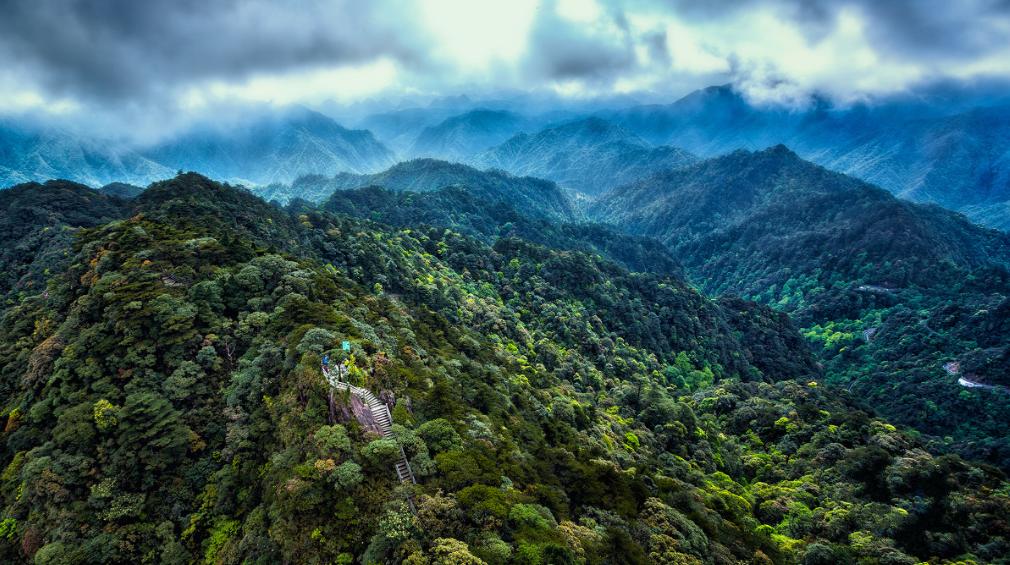 最新藏片,高科技的魅力,改变生活的力量