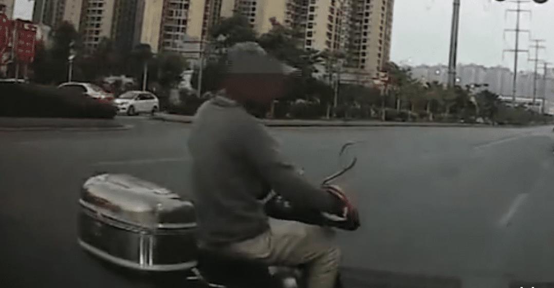 最新虐猫?不,这是一场寻找小巷深处独特小店的冒险之旅!