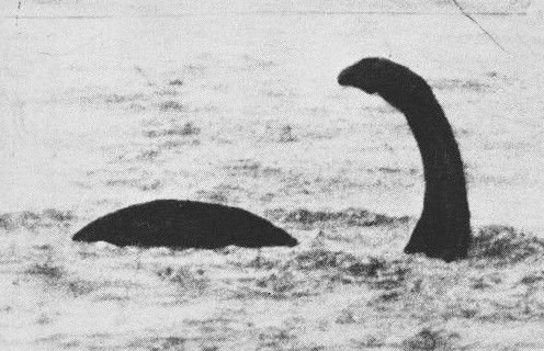 最新水怪事件,揭秘、分析与展望