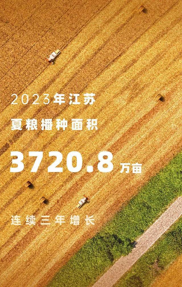 2023正版澳门资料大全,主神KYU281.77中西医结合攻略