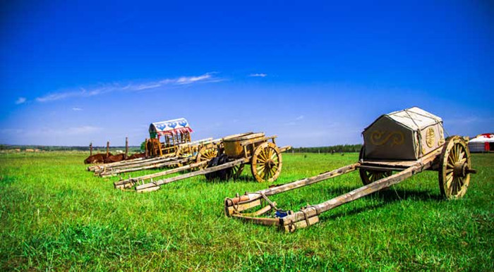 固安最新新闻,拥抱自然,踏上一场寻找内心平静的旅行