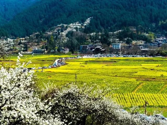 贵定最新招聘,一起探索自然美景,寻找内心的平和宁静