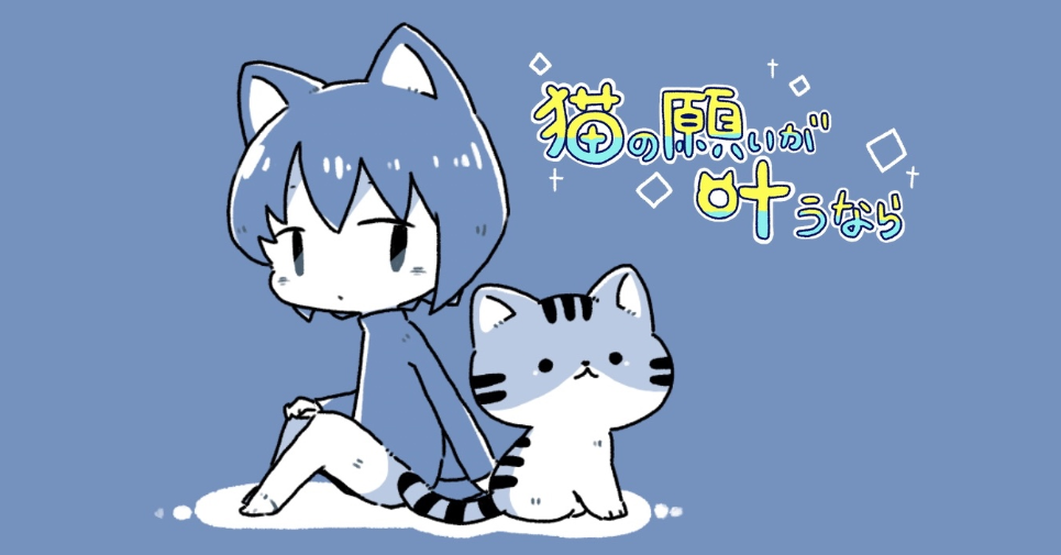 Cat最新款,温馨猫趣日常