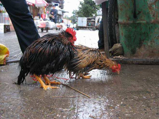 新澳门天天开奖资料大全,掉落词语解析_25.17.64塔吉克斯坦