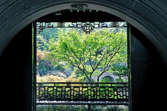 最新影视圈探秘,小巷中的隐藏瑰宝