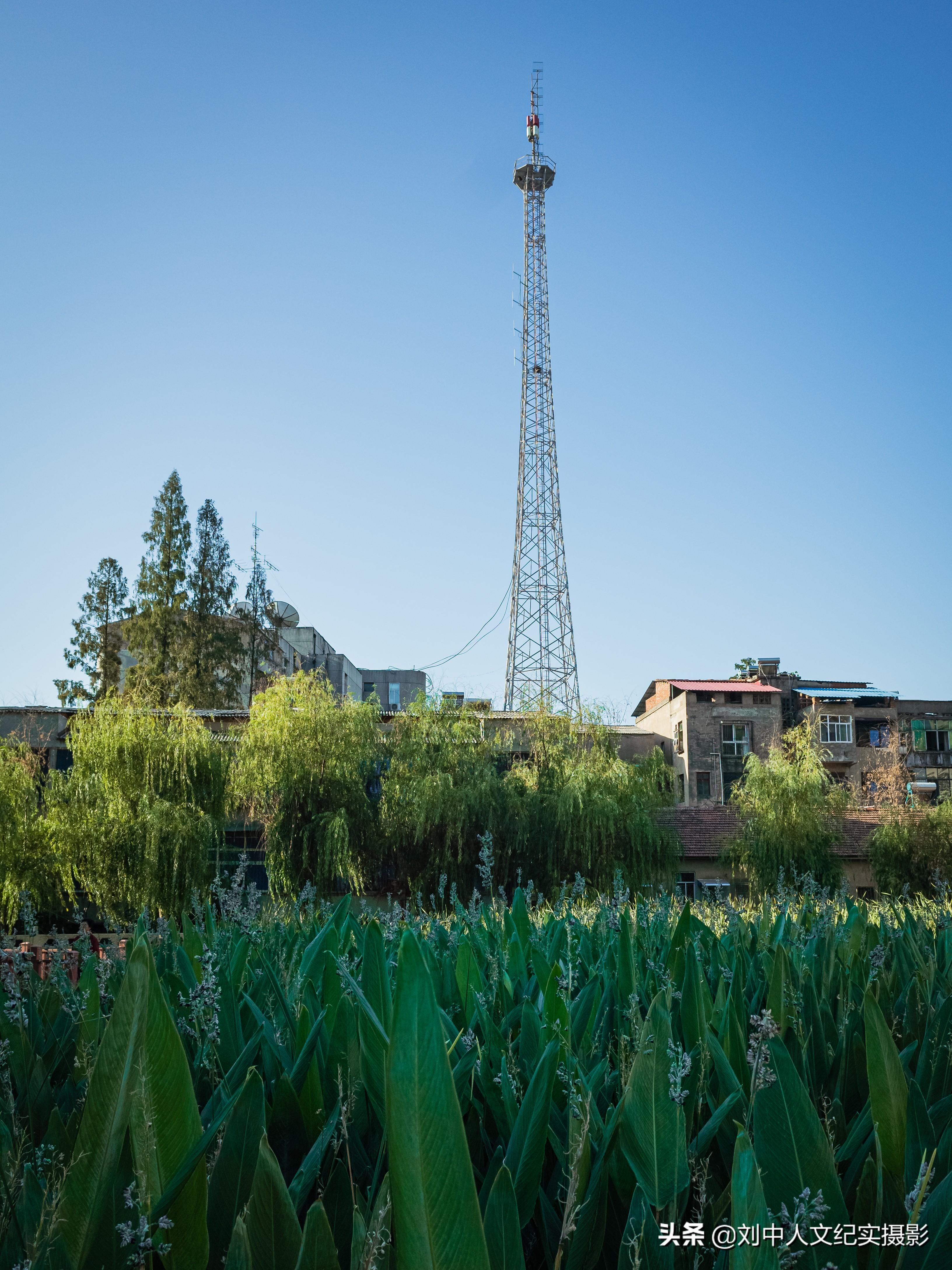 定远最新楼盘,探索自然美景的轻松之旅