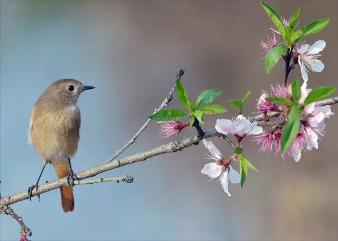 最新书法大赛,一场与自然美景的邂逅,寻找内心的平和之旅