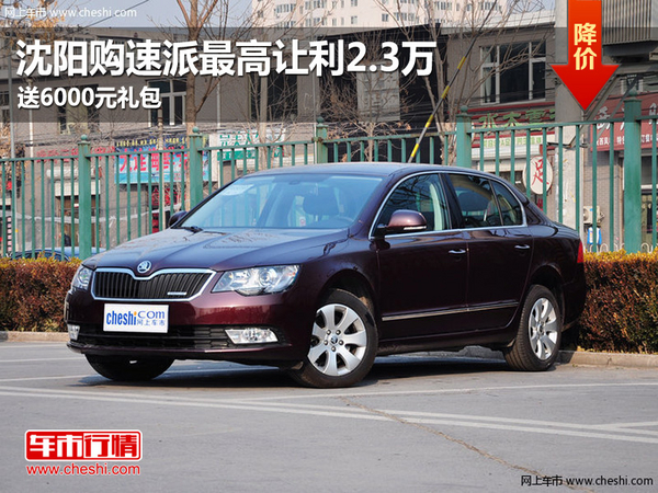 速派最新优惠,一场欢乐的购物之旅与深厚的友情纽带