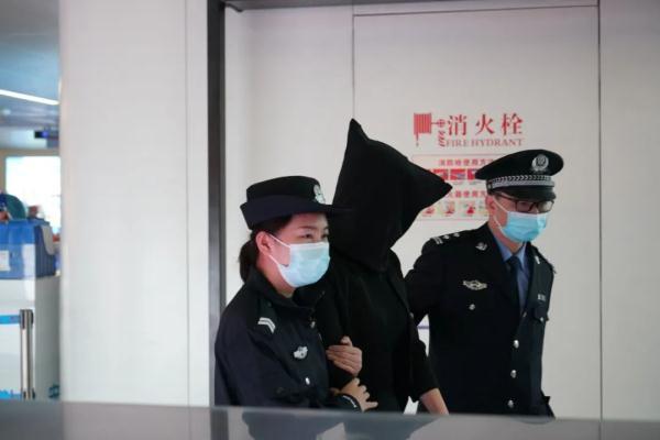 宁乡机场最新状态,飞翔中的温馨日常