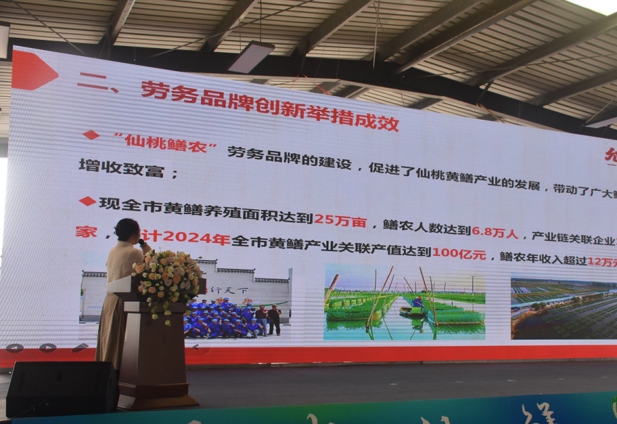 2024年澳门大全免费金锁匙,解答全面建成小康社会_90.36.49牧原股份