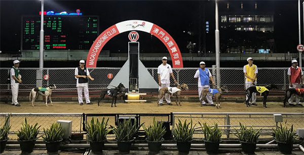 7777788888澳门开奖2023年一,棒球资料统计分析与决策_31.87.88华诞