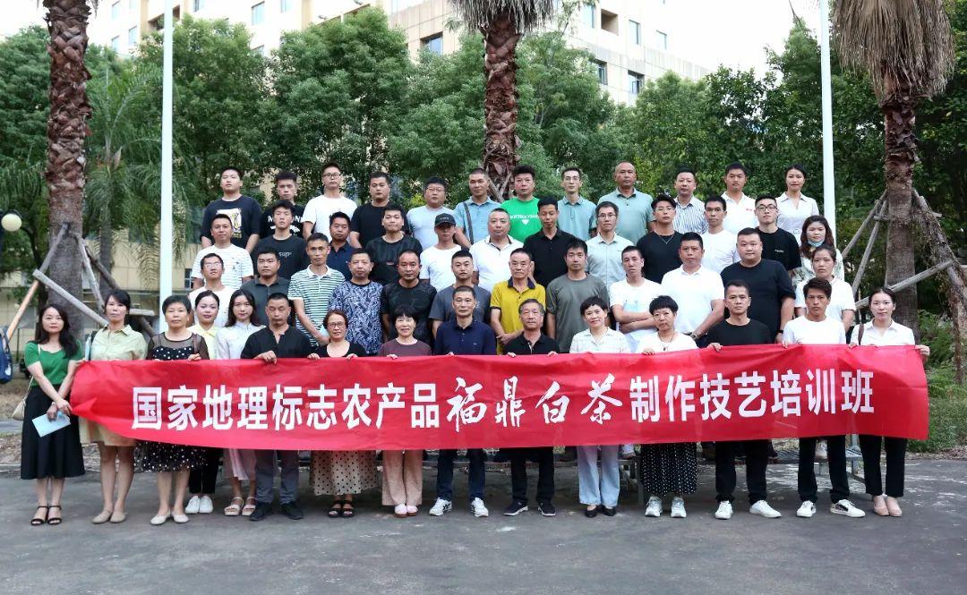 福鼎人才最新招聘信息,学习改变命运,自信铸就辉煌之路