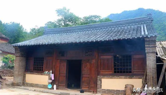 尹老师直播,一场与自然的亲密接触,寻找内心的平和之旅