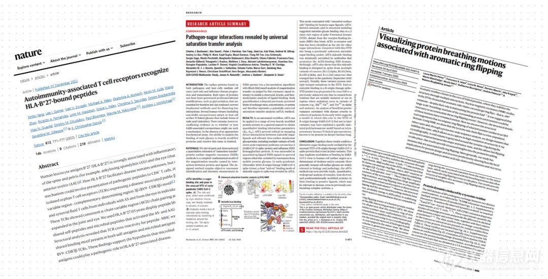2024全新澳版资料速递:研究解读精粹_Pyb350.59珍稀版