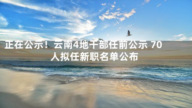最新云南干部任前公示发布,重磅人事变动揭晓!