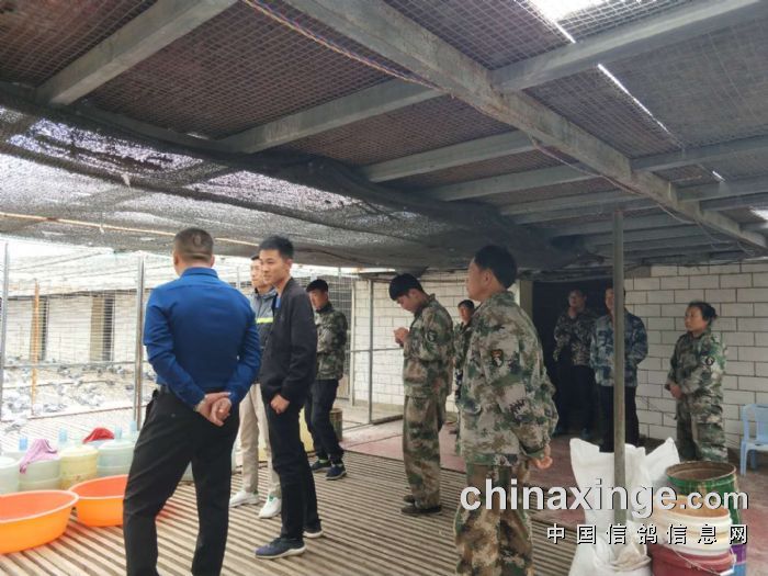 国盛公棚最新公告,变革引领自信,学习铸就辉煌成就