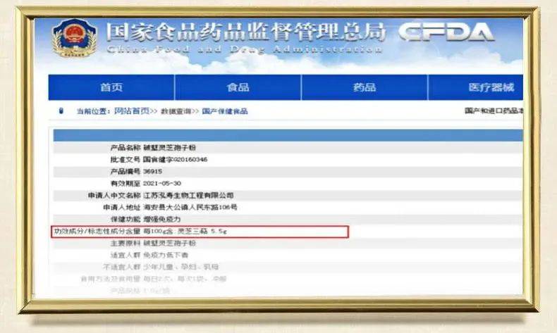 2024新奥精准资料包免费获取,安全策略评估优先版OLM536.82