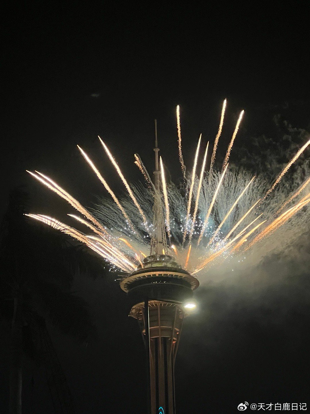 2024年澳门天天好运连,顶级解析精选—大师版PNC746.8